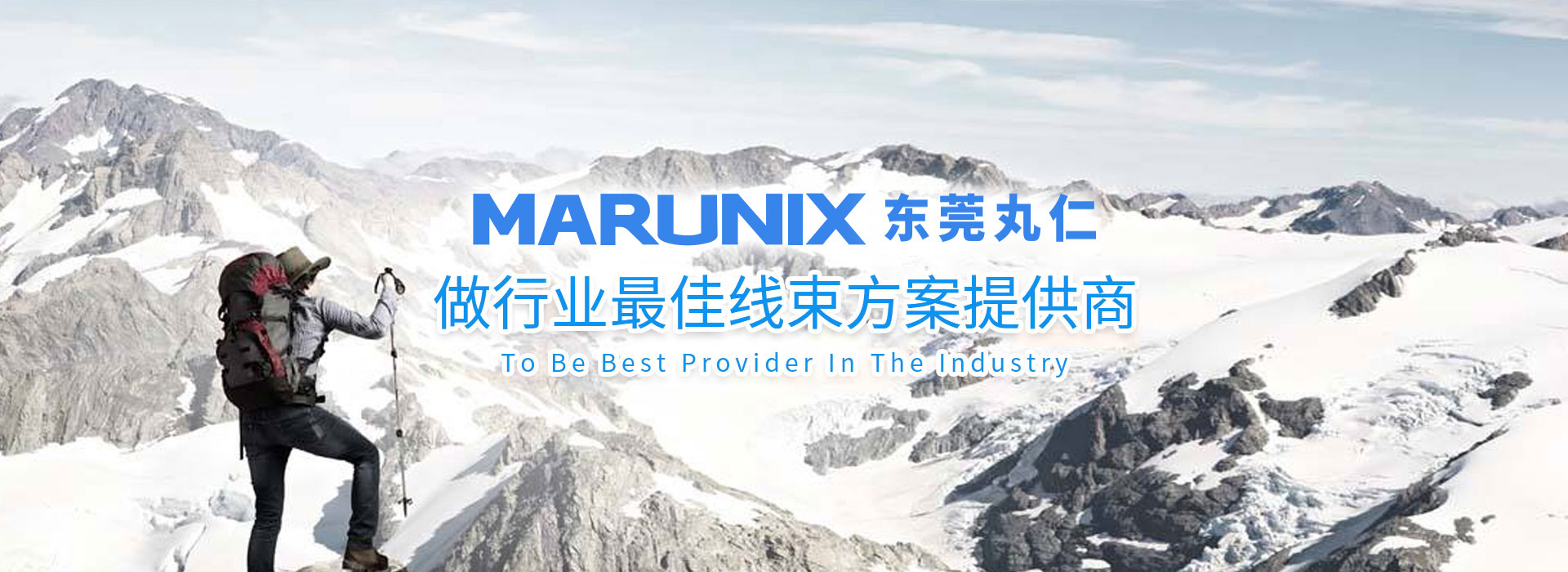 做最好的線束提供商